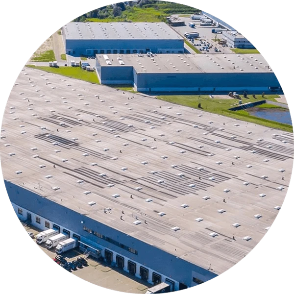 About Our Company
